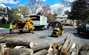  , NC Tree Removal Pros